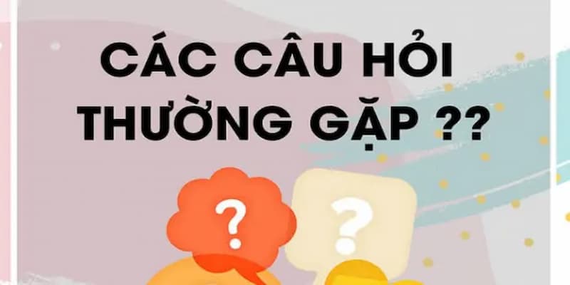 Câu hỏi thường gặp