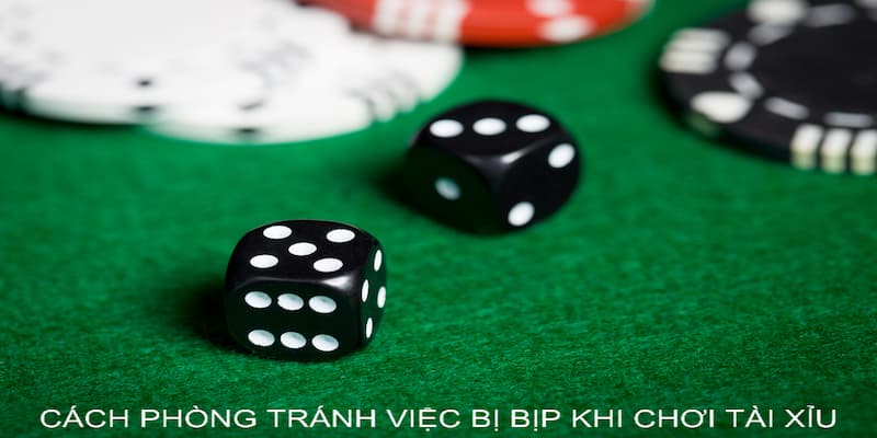 Tài xỉu có bịp không và cách để phòng ngừa hiệu quả 3 tai xiu co bip khong 2